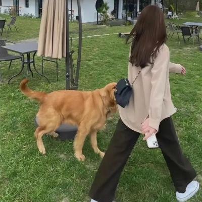 迷魂飞行员